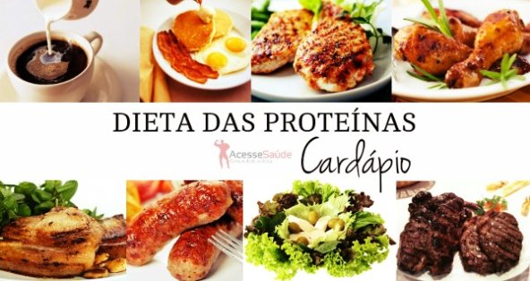 texto dieta das proteínas